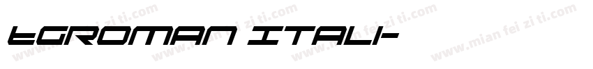 TGRoman Itali字体转换